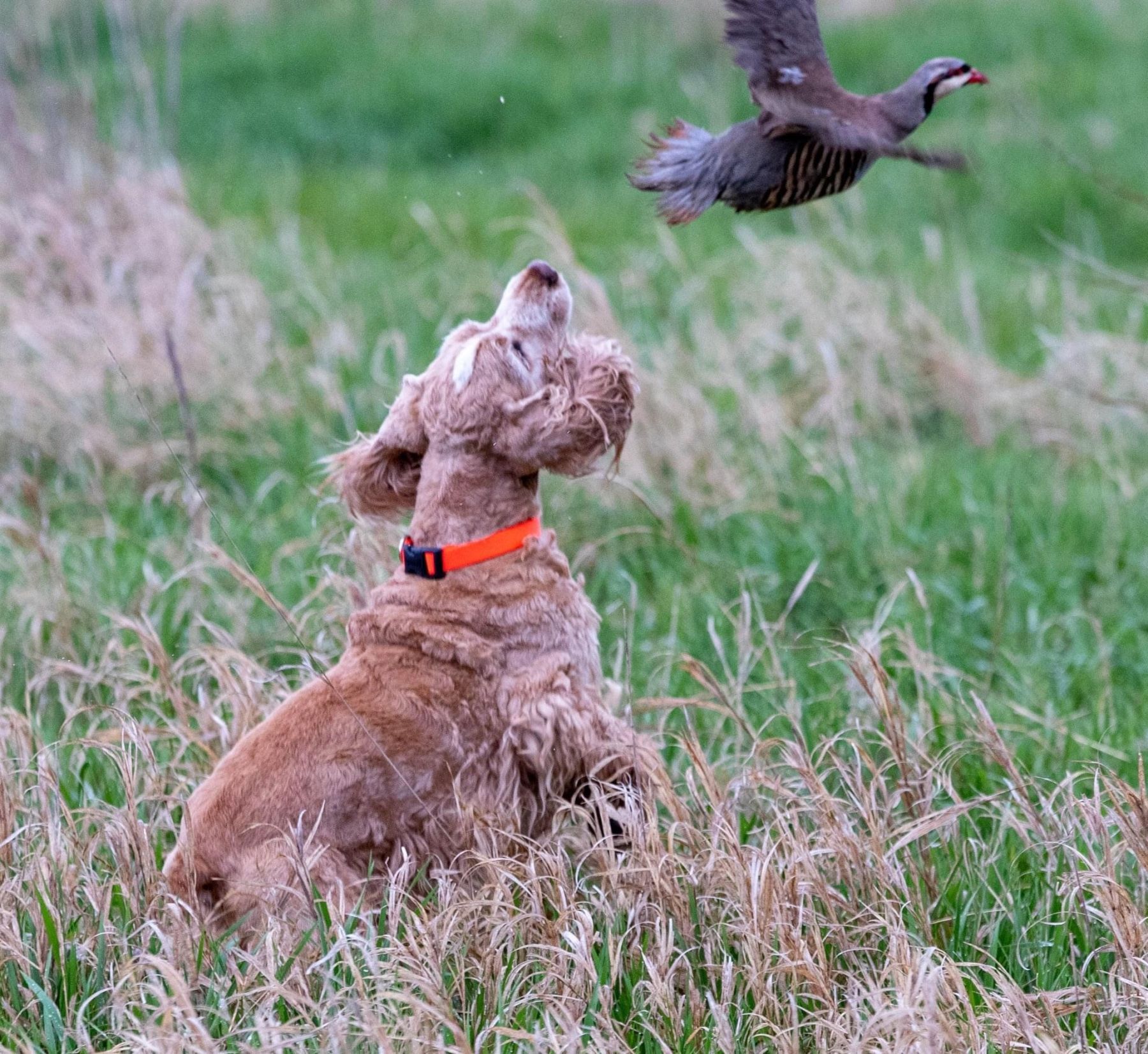 How To Drive Field Handlers Over the Edge